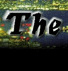bbr1.GIF (8700 bytes)