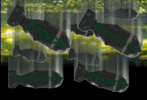 bbtopleft2.gif (20578 bytes)
